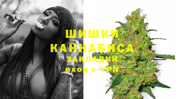 PSILOCYBIN Абдулино