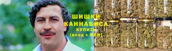 PSILOCYBIN Абдулино